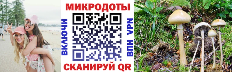 наркотики  Родники  нарко площадка клад  Галлюциногенные грибы Cubensis 